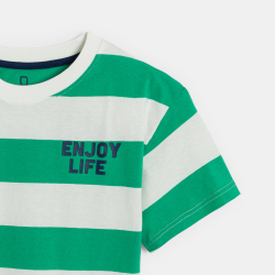 تيشيرت أخضر مخطط بأكمام...